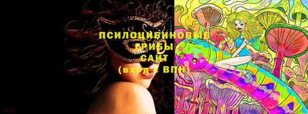 МДПВ Абаза